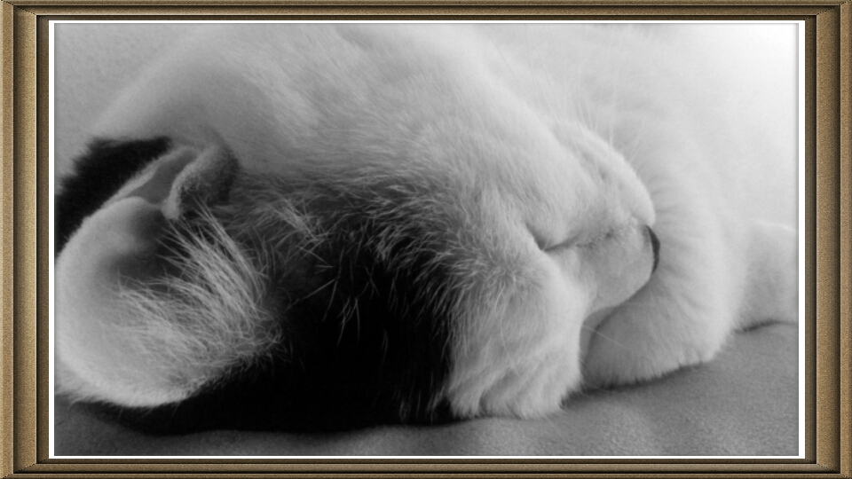 When Life Seems&nbsp;Simpler